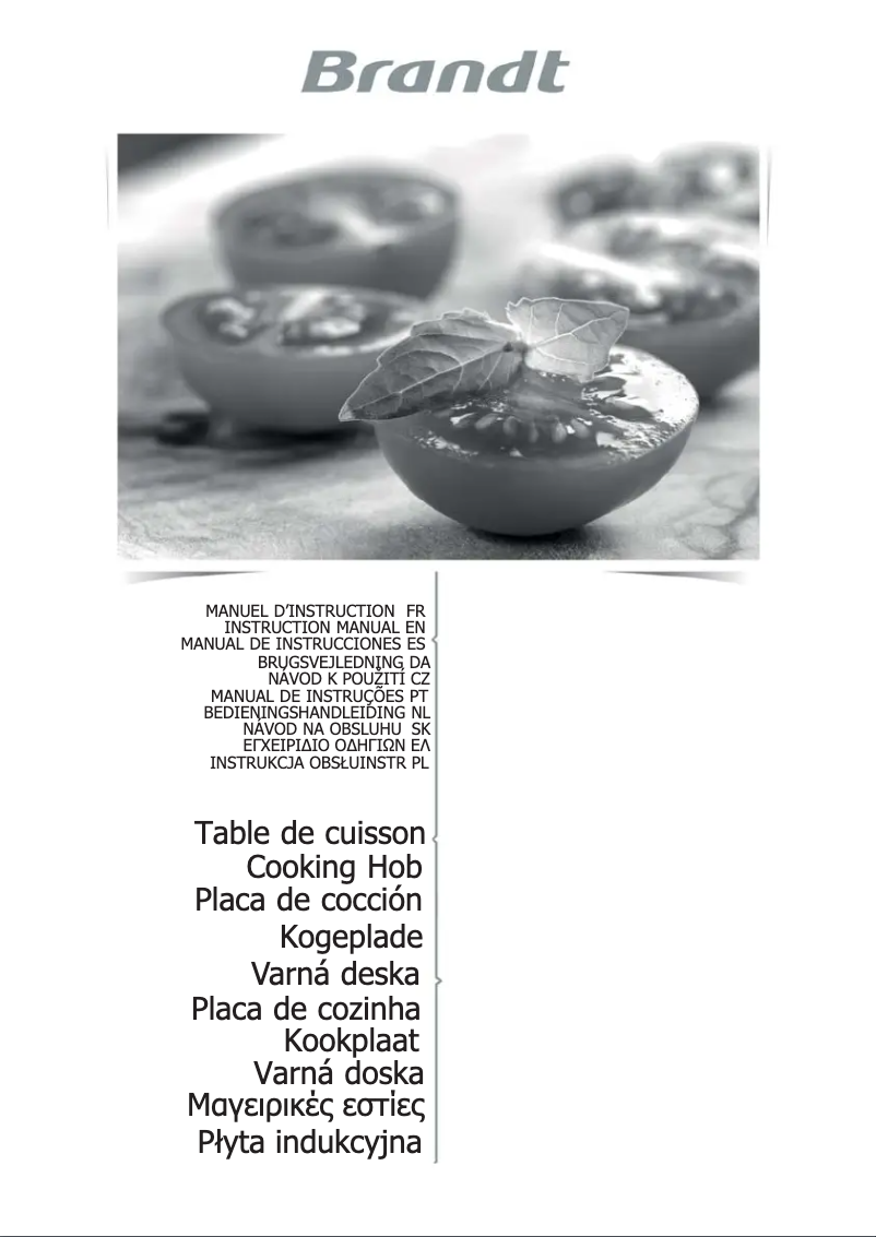 Imagen de la primera página del manual del dispositivo BPI6315B