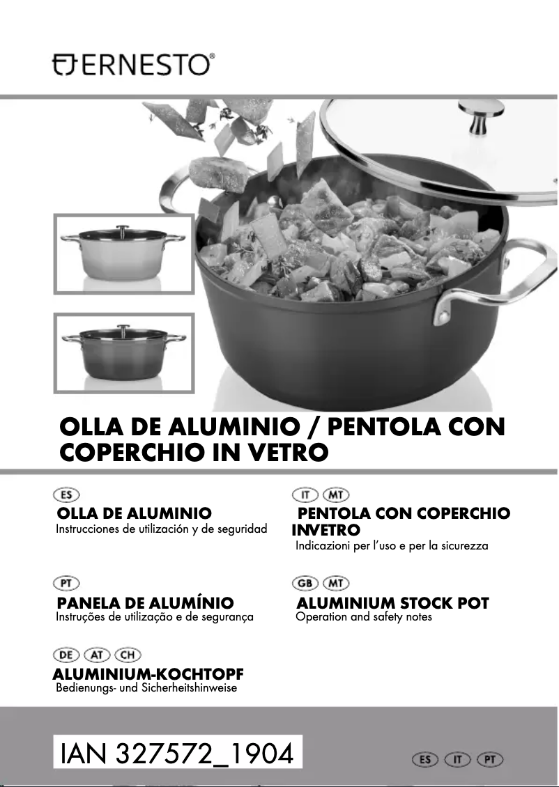 Page n°1 - Manuel utilisateur Ernesto HG05452