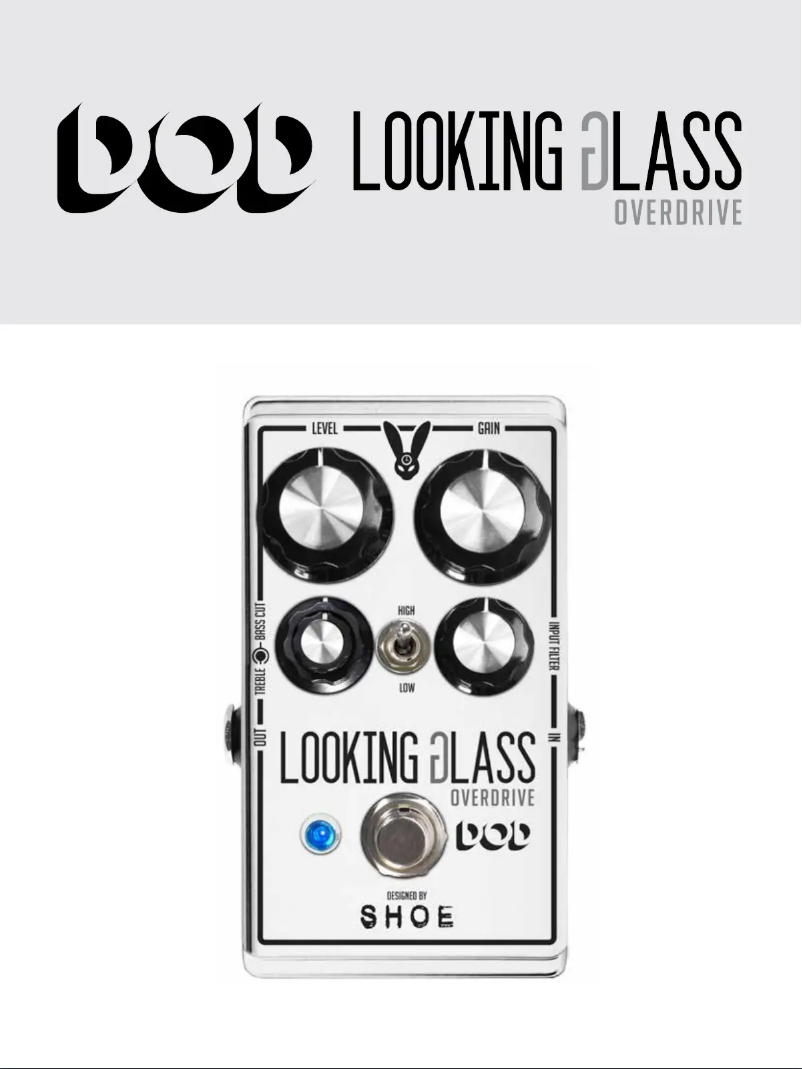 Page 1 de la notice Manuel utilisateur DOD Looking Glass