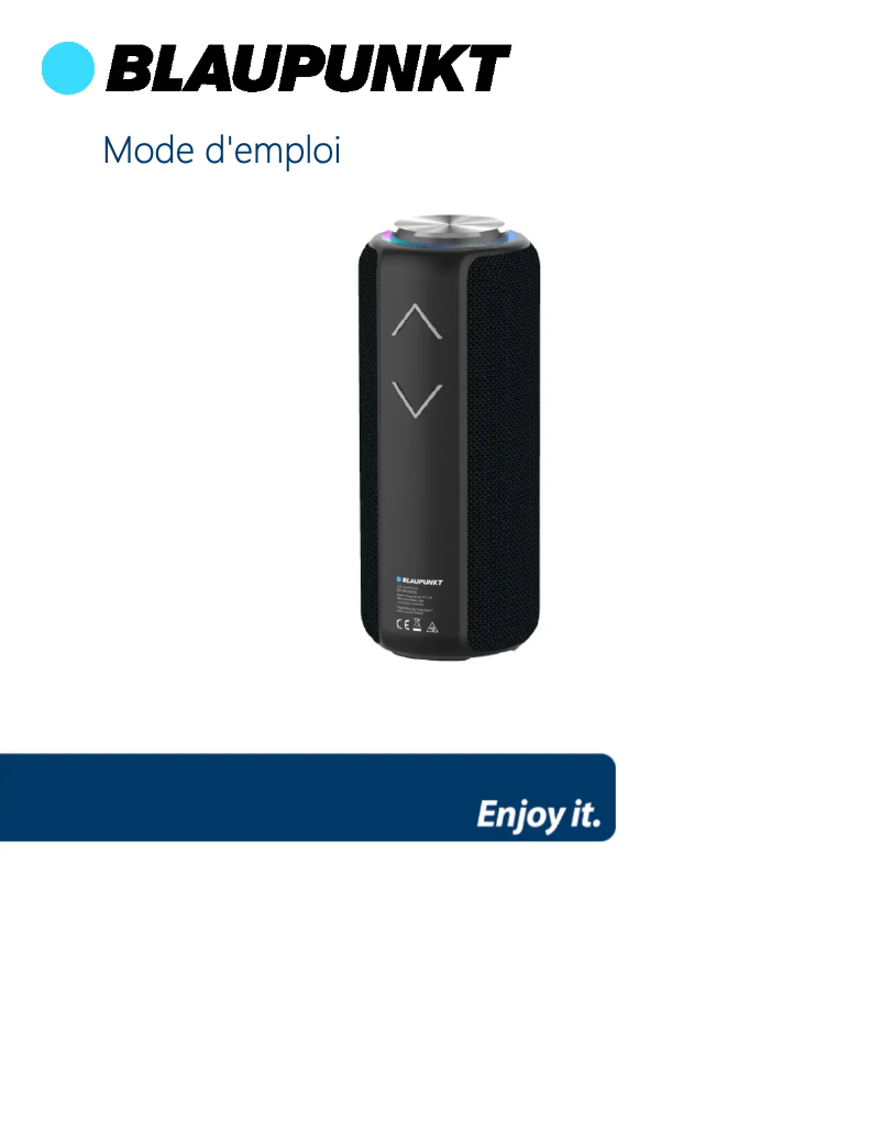 Page 1 de la notice Manuel utilisateur Blaupunkt BLP3230