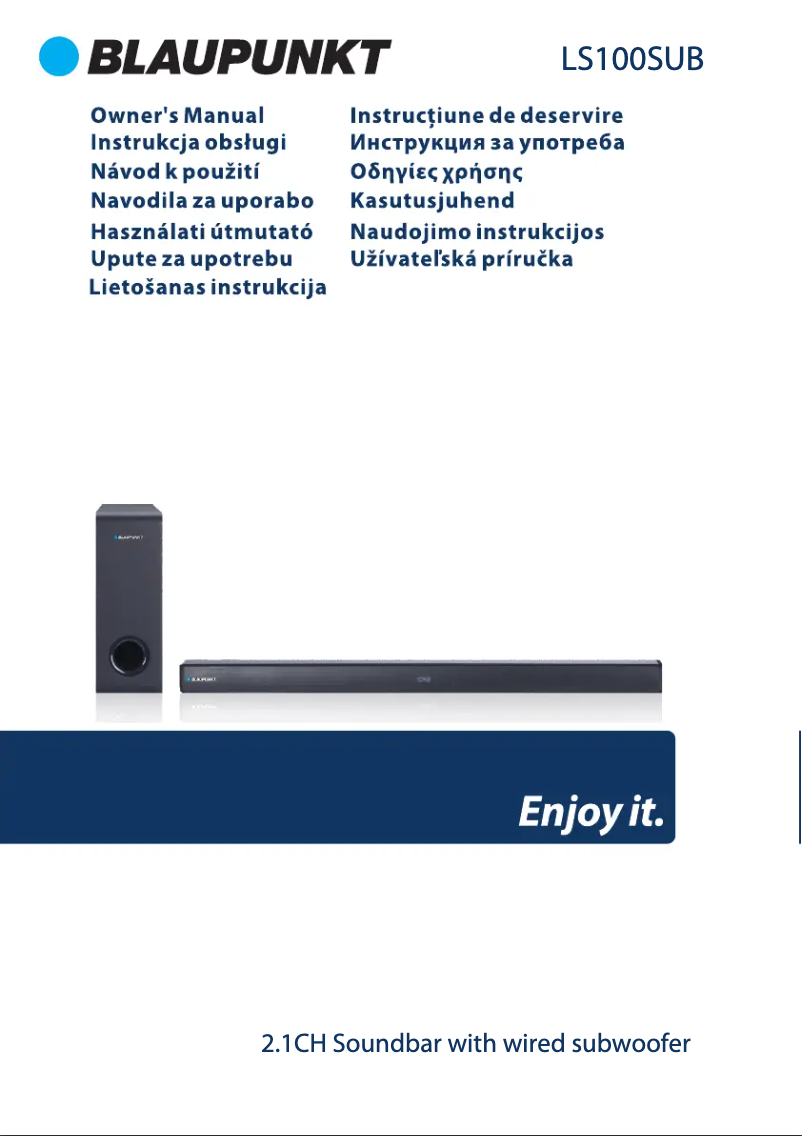 Page 1 de la notice Manuel utilisateur Blaupunkt LS100SUB