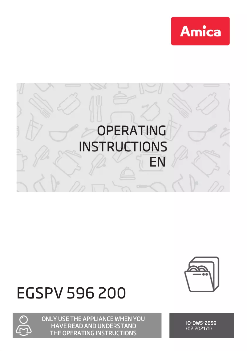 Page n°1 - Manuel utilisateur Amica EGSPV 596 200