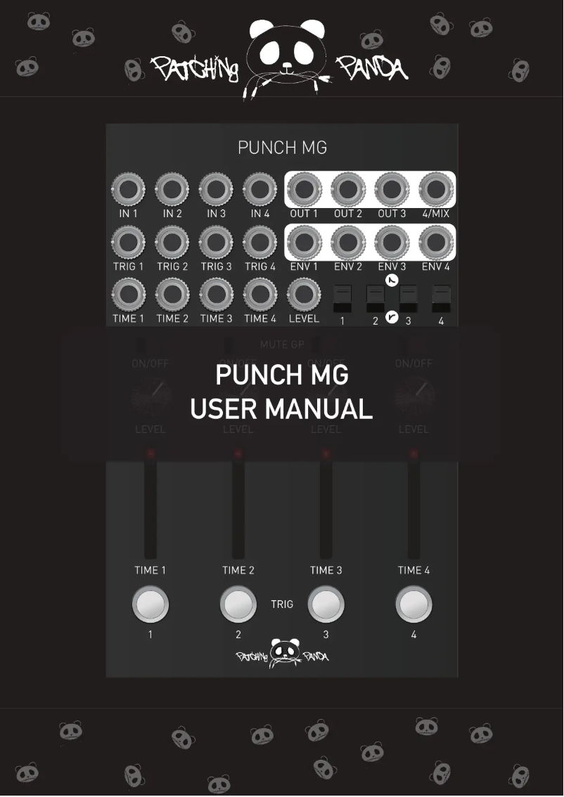 Image de la première page du manuel de l'appareil Punch MG