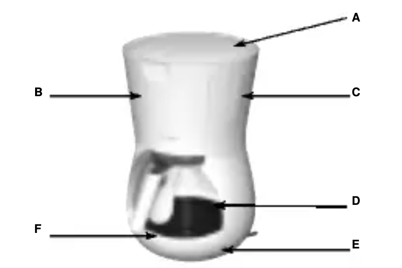 Image de la première page du manuel de l'appareil Principio2 CM3020