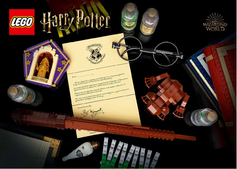 Page 1 de la notice Consignes visuelles Lego Harry Potter 76391