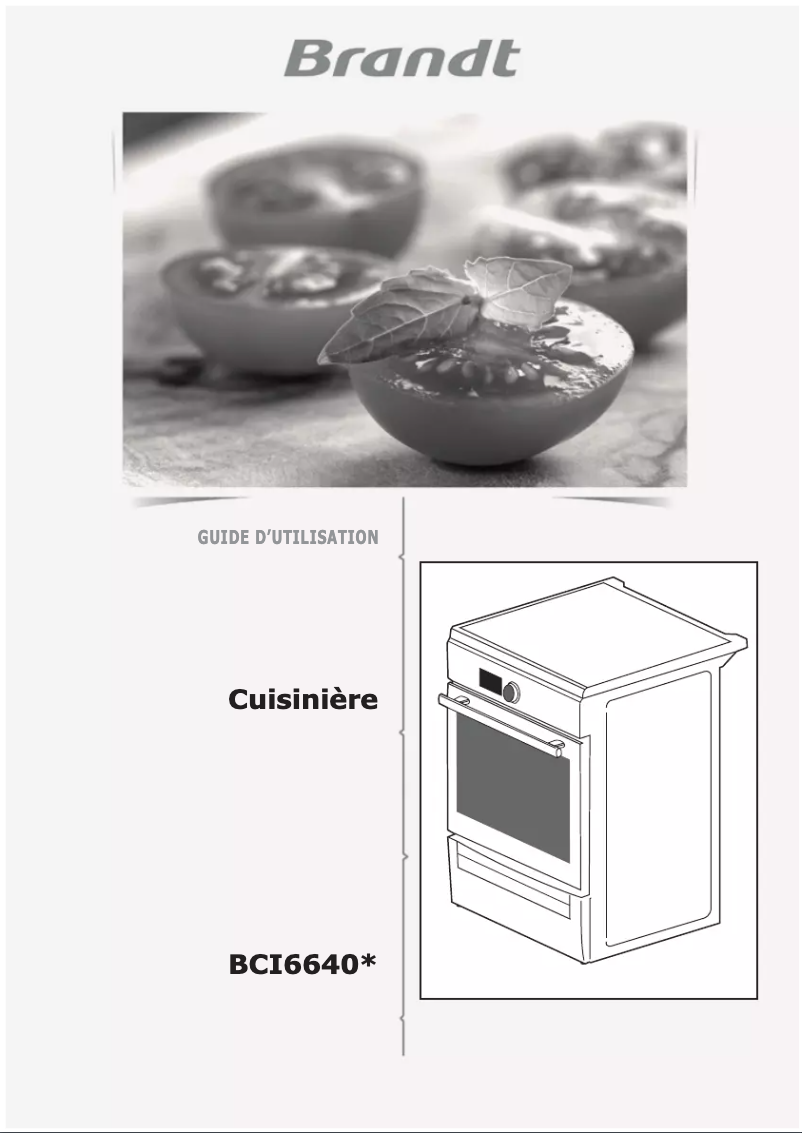 Page 1 de la notice Manuel utilisateur Brandt BCI6640T