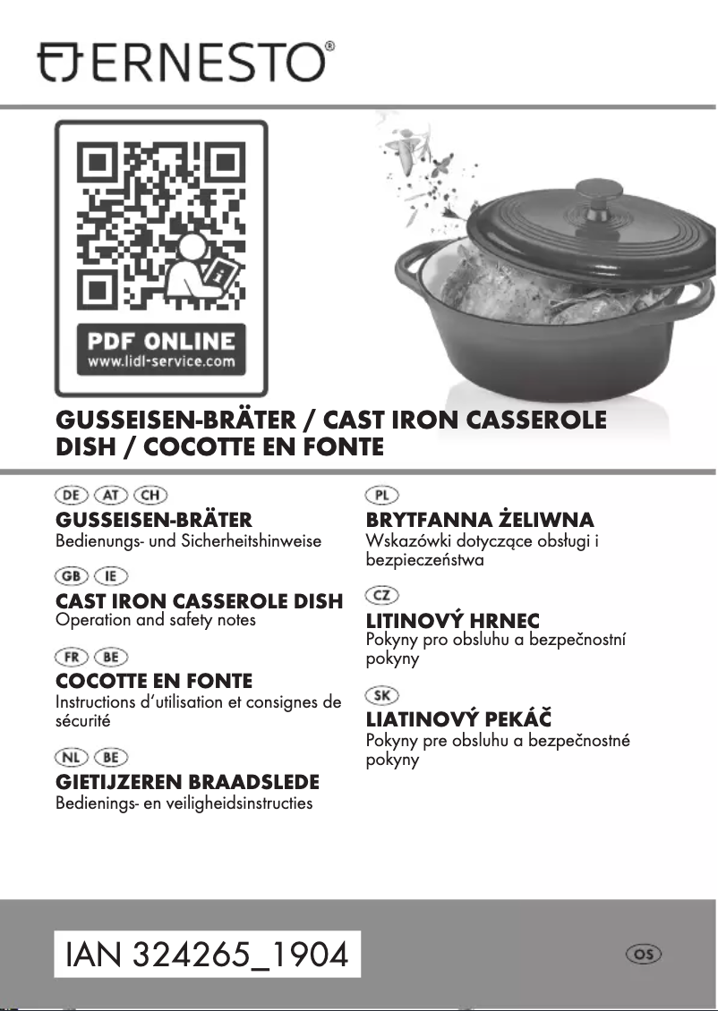 Page n°1 - Manuel utilisateur Ernesto IAN 345241