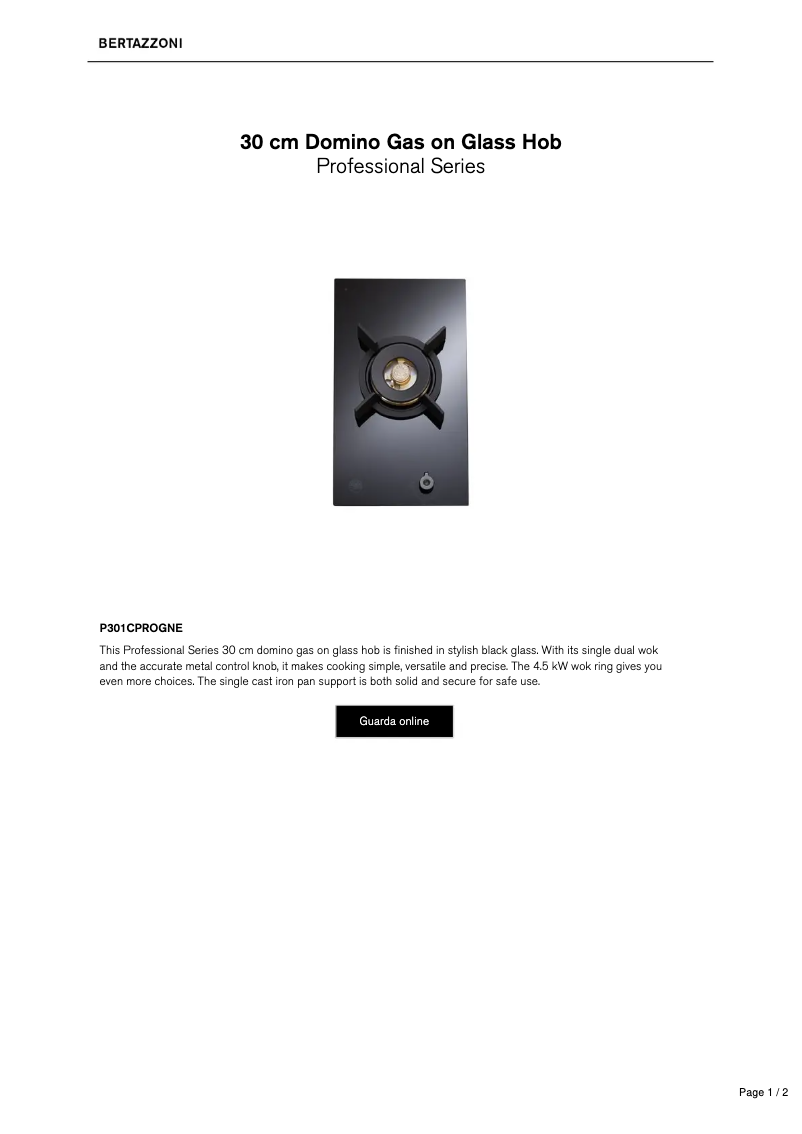 Image de la première page du manuel de l'appareil P301CPROGNE
