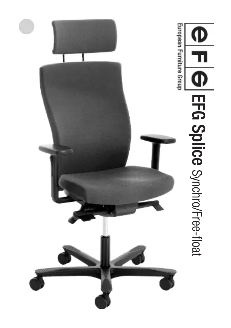 Page 1 de la notice Manuel utilisateur EFG Splice