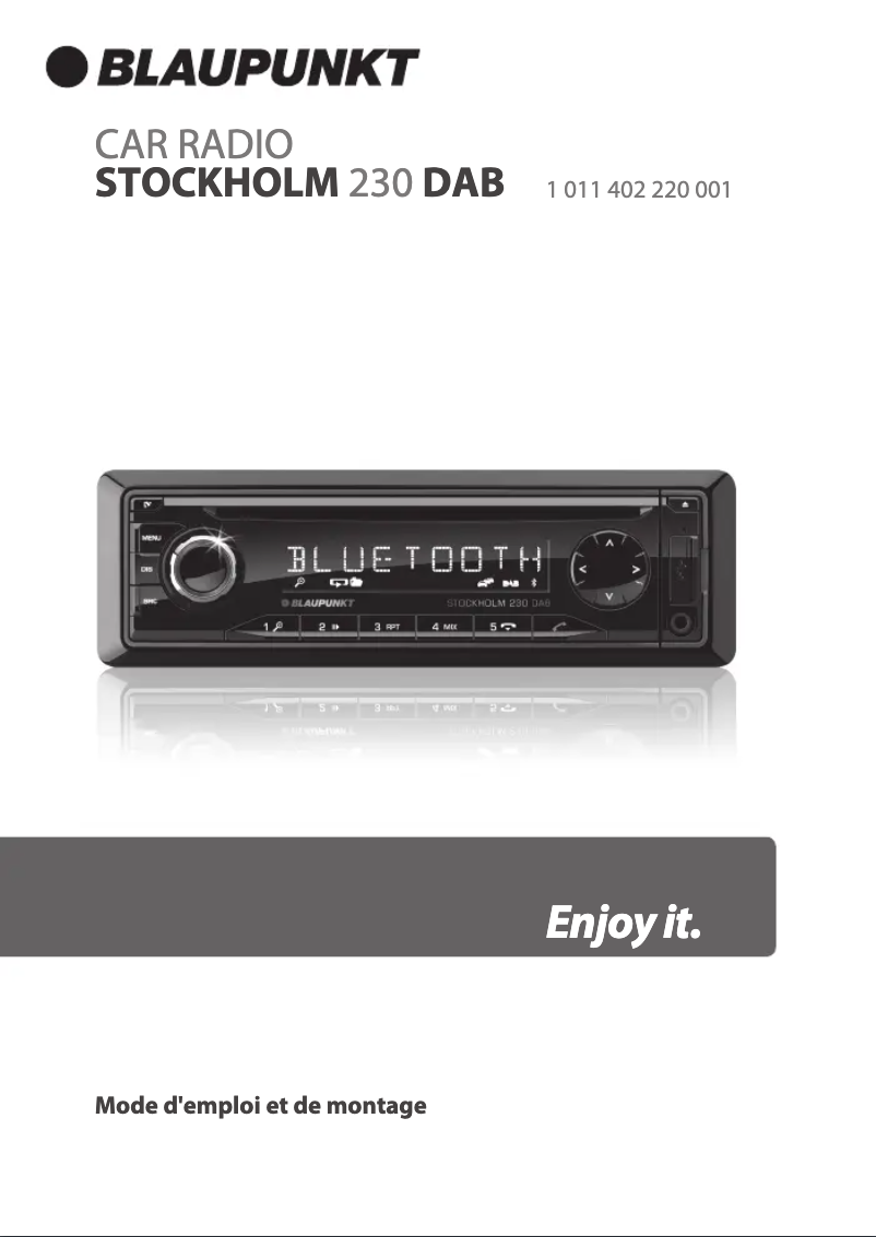 Image de la première page du manuel de l'appareil Stockholm 230 DAB