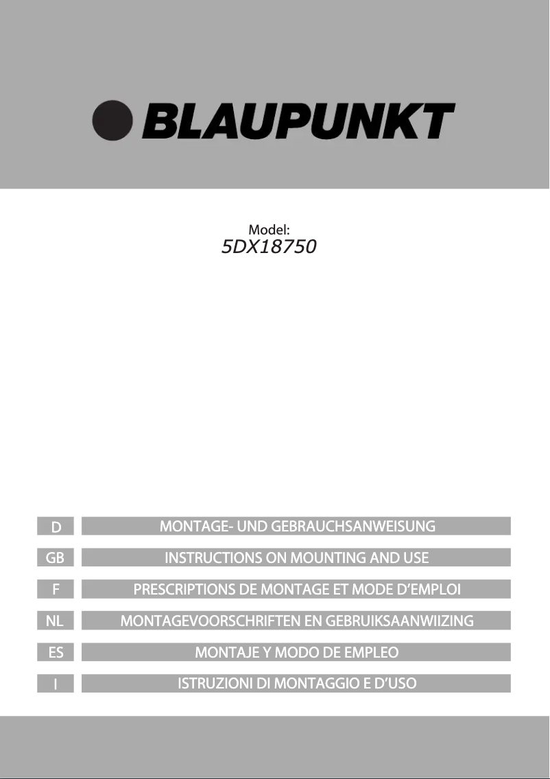 Page 1 de la notice Manuel utilisateur Blaupunkt 5DX18750
