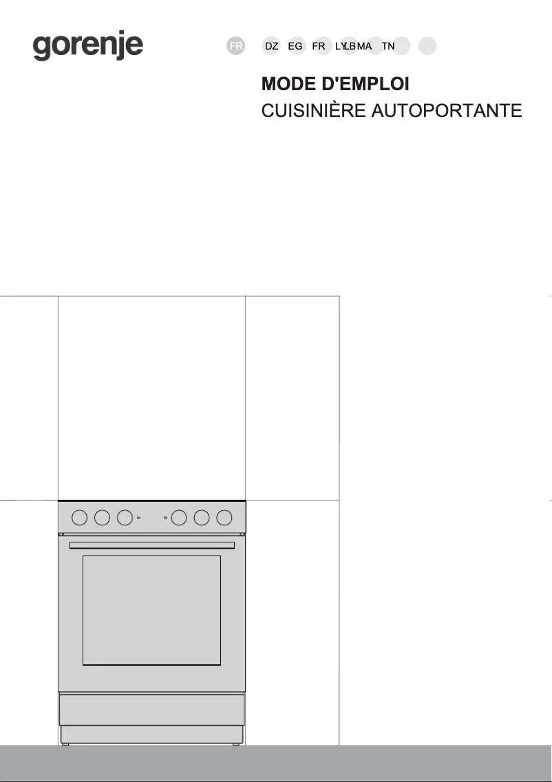 Page n°1 - Manuel utilisateur Gorenje GEC6A11SG