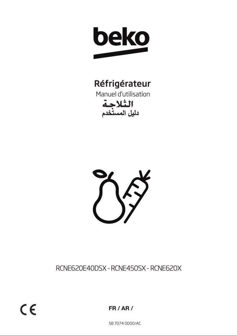 Image de la première page du manuel de l'appareil RCNE450SX