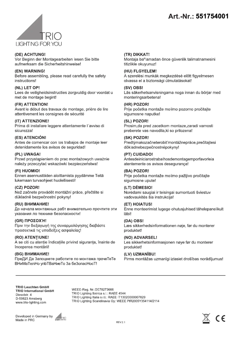 Page 1 de la notice Manuel utilisateur Trio Lighting Nector 551754001