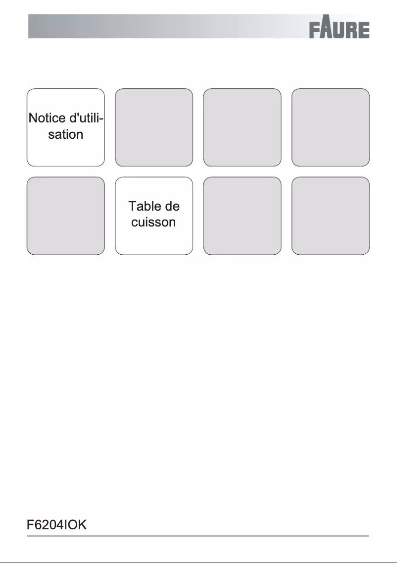 Page n°1 - Manuel utilisateur Faure F6204IOK