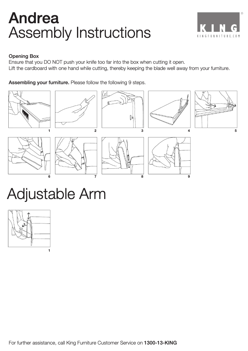 Page 1 de la notice Manuel utilisateur King Andrea