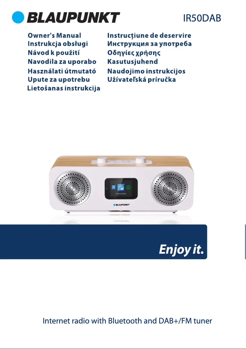 Page 1 de la notice Manuel utilisateur Blaupunkt IR50DAB