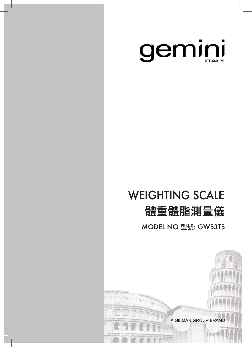 Page 1 de la notice Manuel utilisateur Gemini GWS3TS