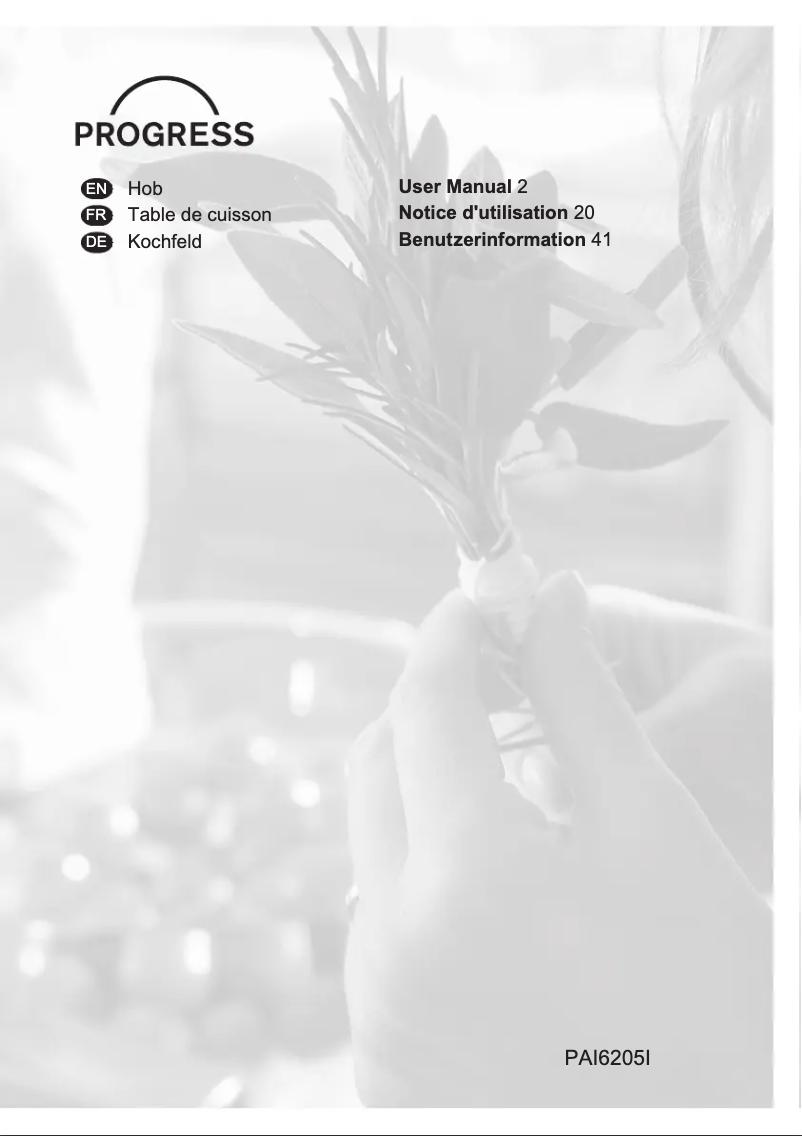 Page 1 de la notice Manuel utilisateur Progress PAI6205I