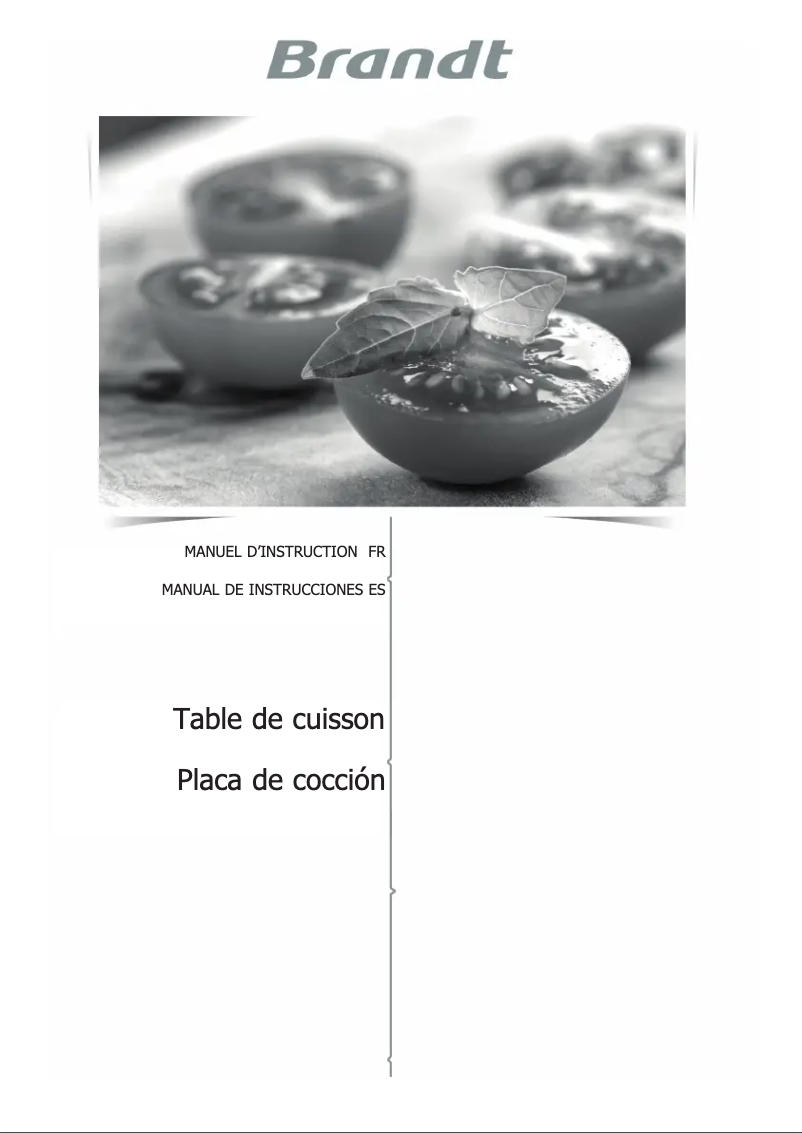 Imagen de la primera página del manual del dispositivo BTI1641B