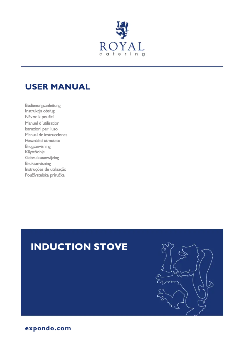 Page 1 de la notice Manuel utilisateur Royal Catering RCIC-8500