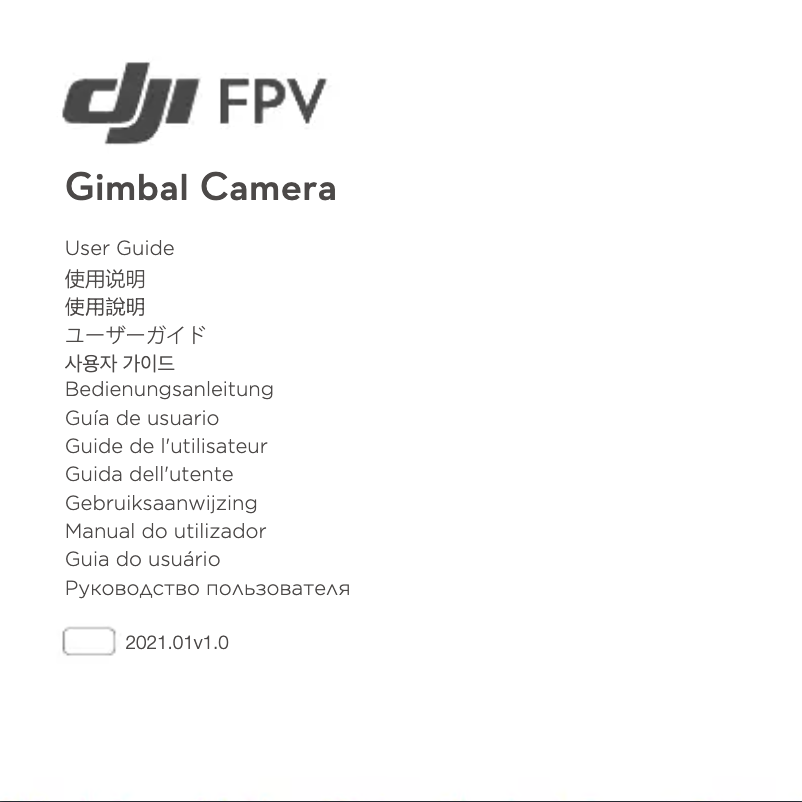 Page n°1 - Manuel utilisateur DJI FPV Gimbal Camera