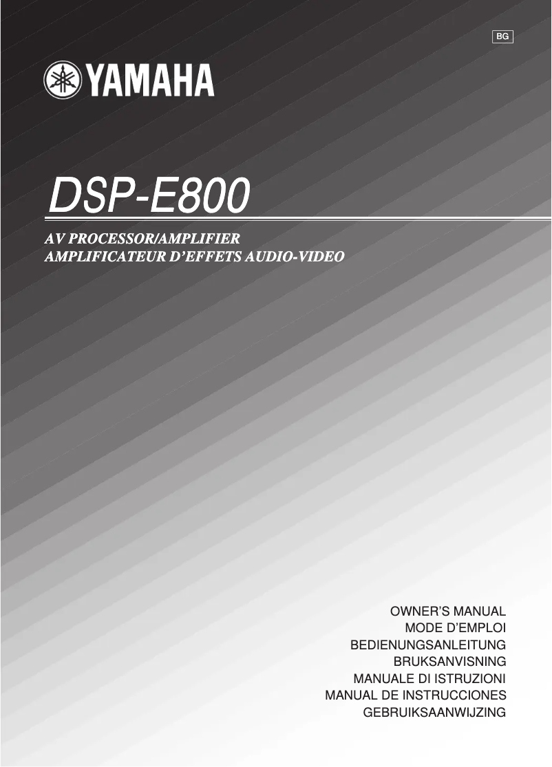 Image de la première page du manuel de l'appareil DSP-E800