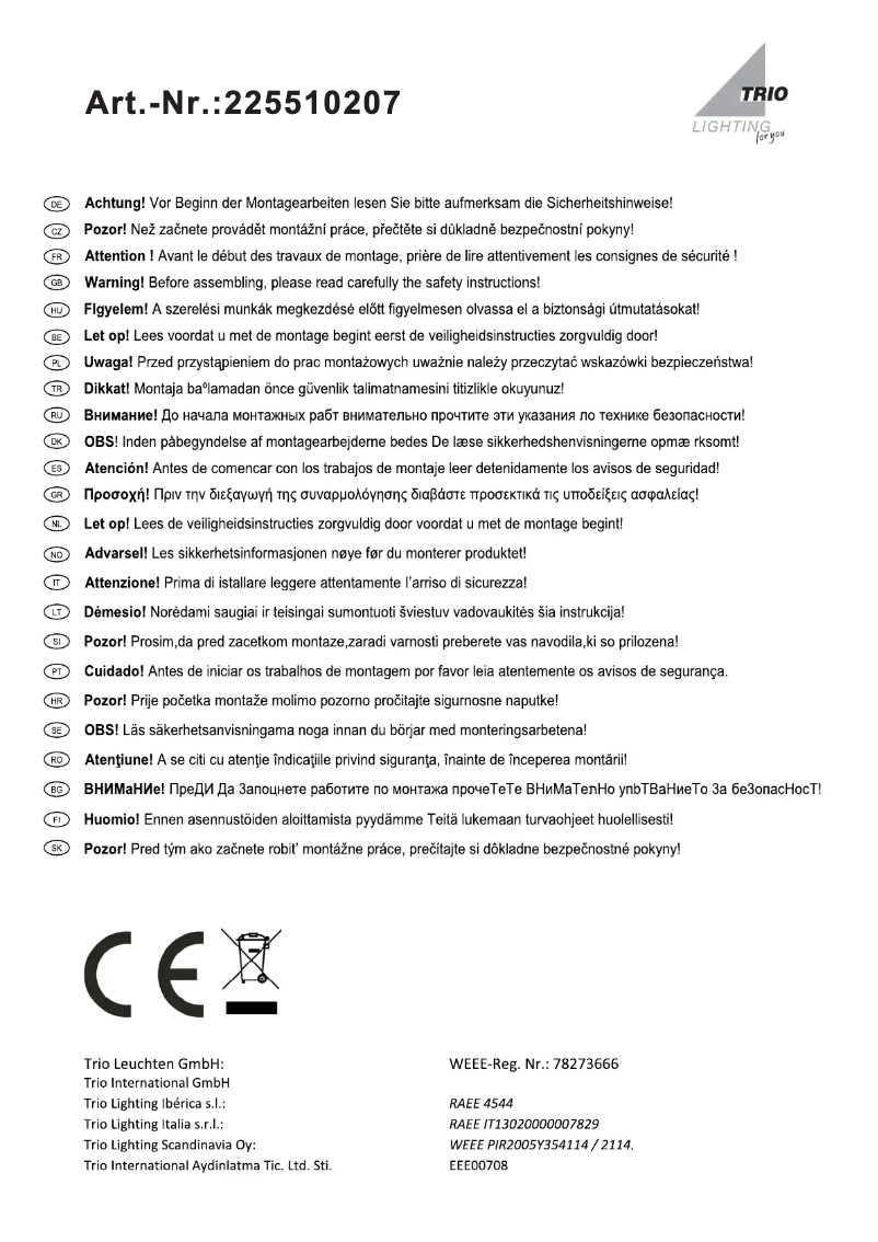 Page 1 de la notice Manuel utilisateur Trio Lighting Wales 225510207