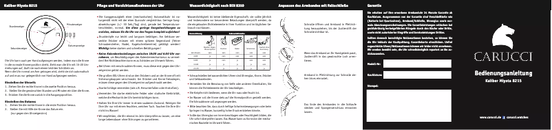 Page n°1 - Manuel utilisateur Carucci Miyota 8215