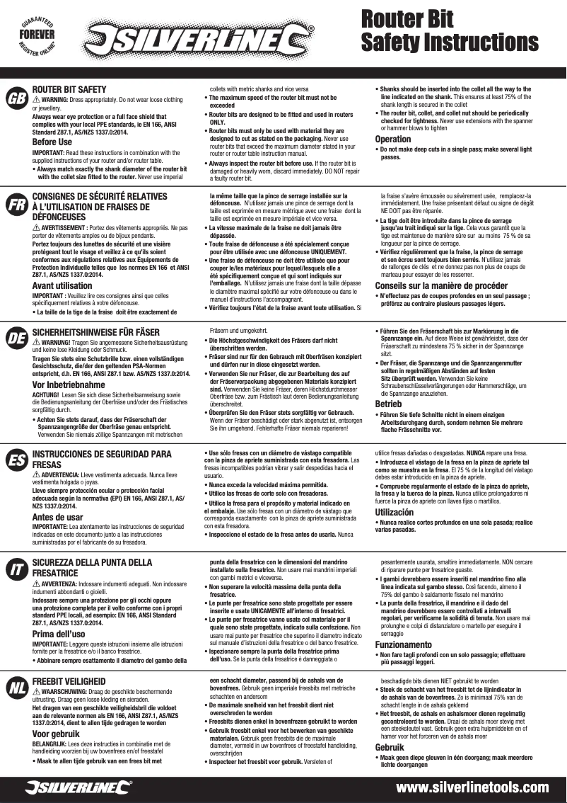 Page 1 de la notice Manuel utilisateur Silverline 501793