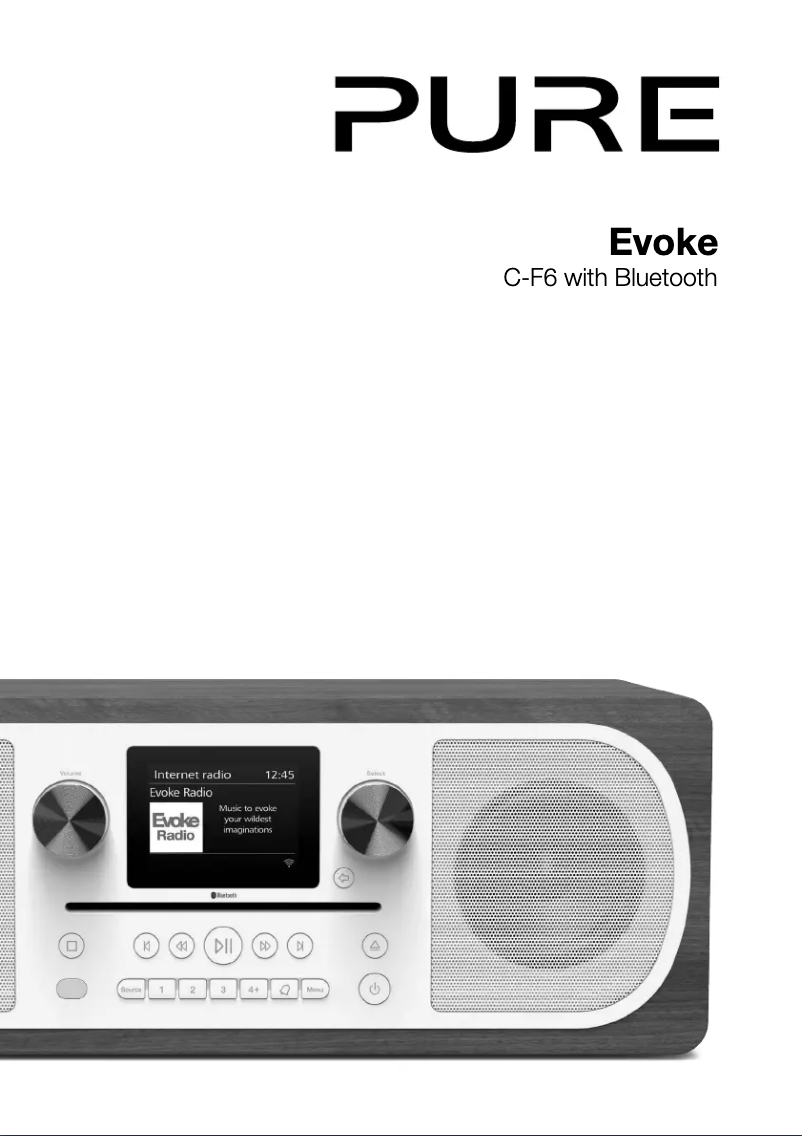 Page 1 de la notice Manuel utilisateur Pure Evoke C-F6