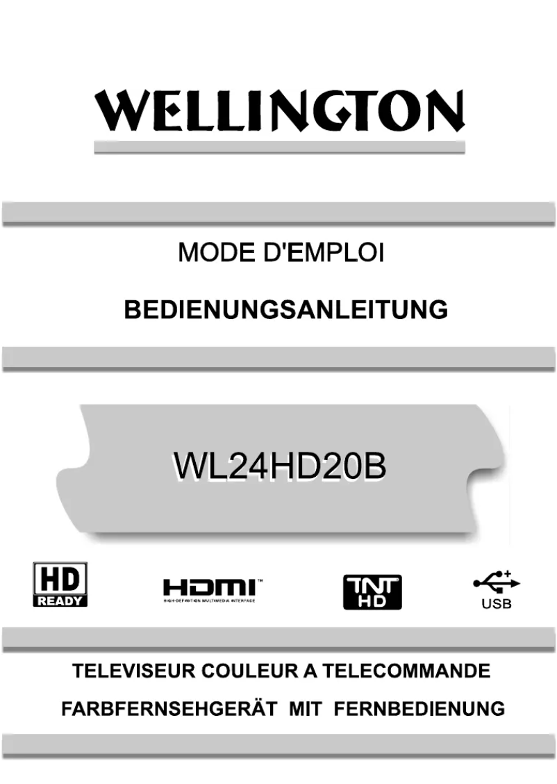 Page n°1 - Manuel utilisateur Wellington WL24HD20B