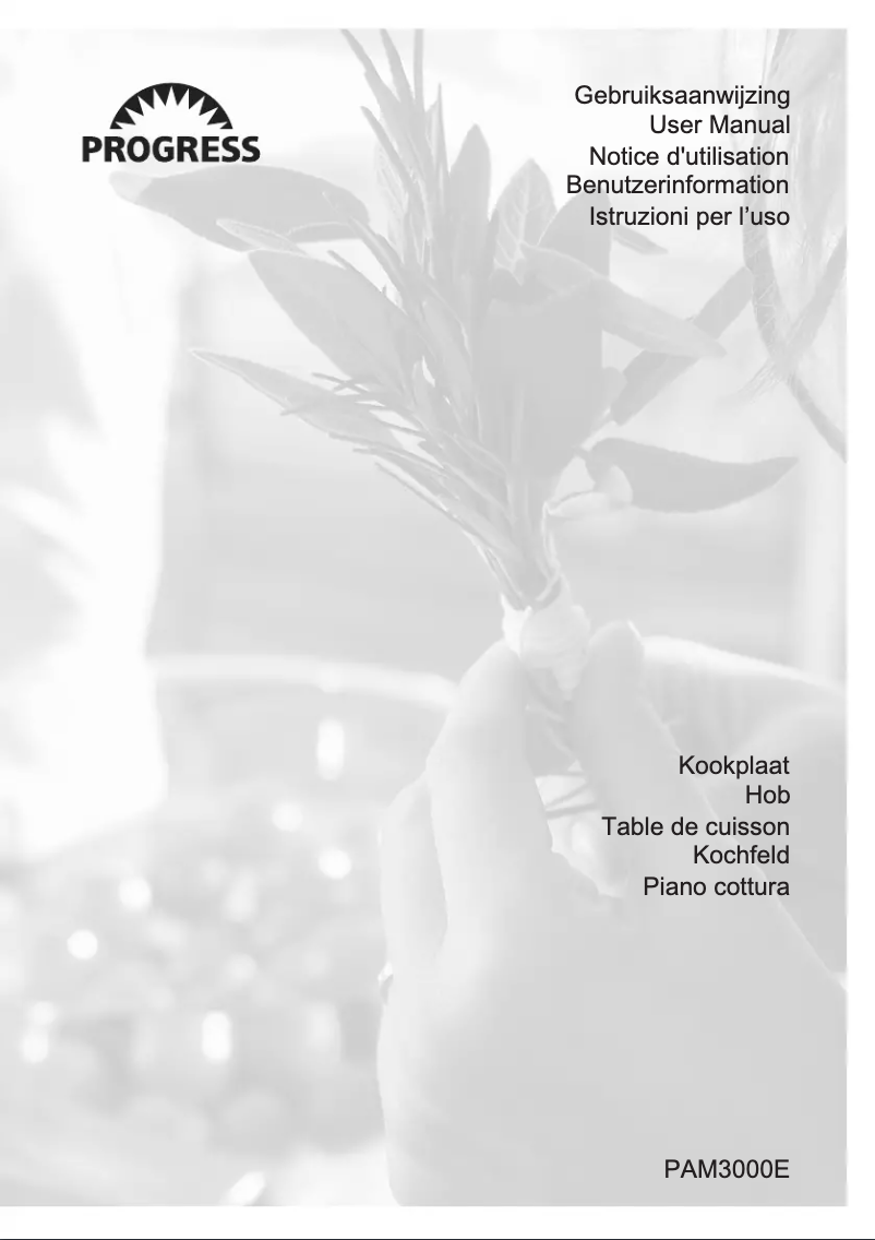 Image de la première page du manuel de l'appareil PAM3000E