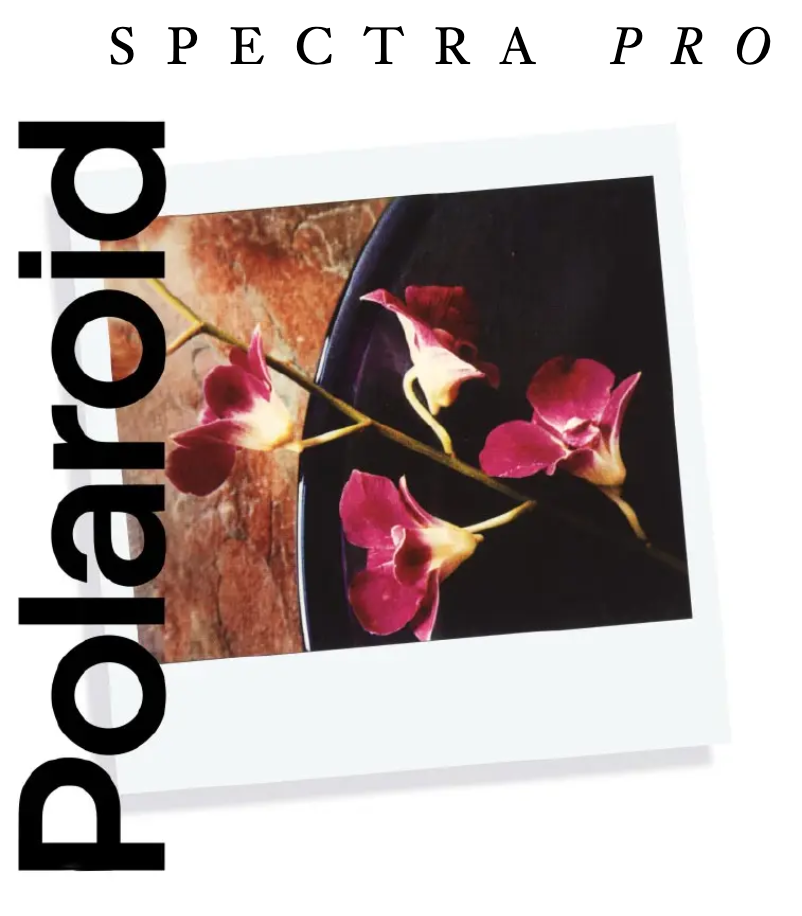Page n°1 - Manuel utilisateur Polaroid Spectra Pro