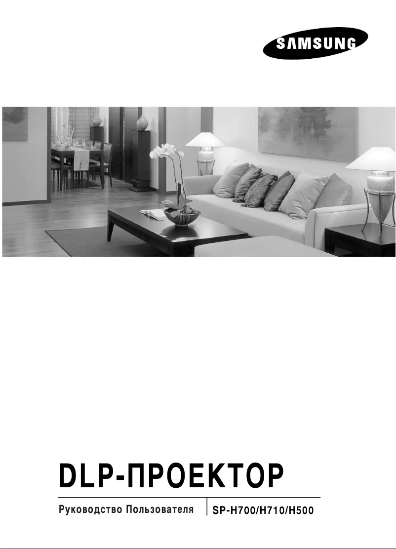 Page 1 de la notice Manuel utilisateur Samsung SP-H710AE