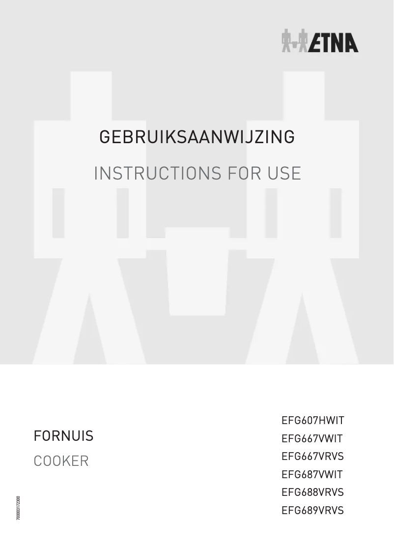 Image de la première page du manuel de l'appareil EFG689VRVS