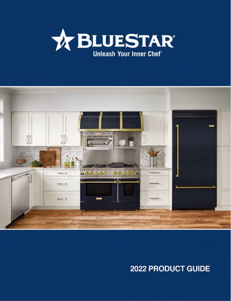 Page n°1 - Brochure BlueStar BIR30R0