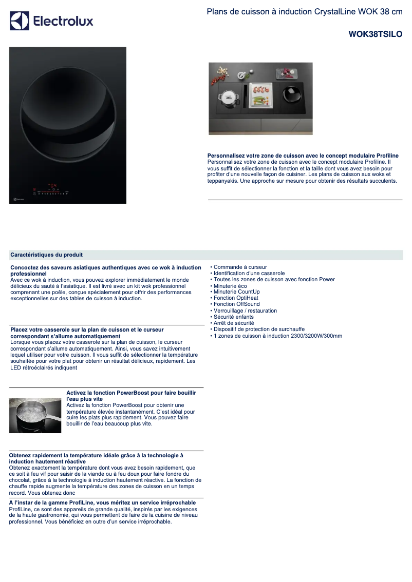 Image de la première page du manuel de l'appareil WOK38TSILO