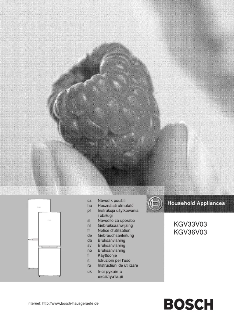Image de la première page du manuel de l'appareil KGV33V03