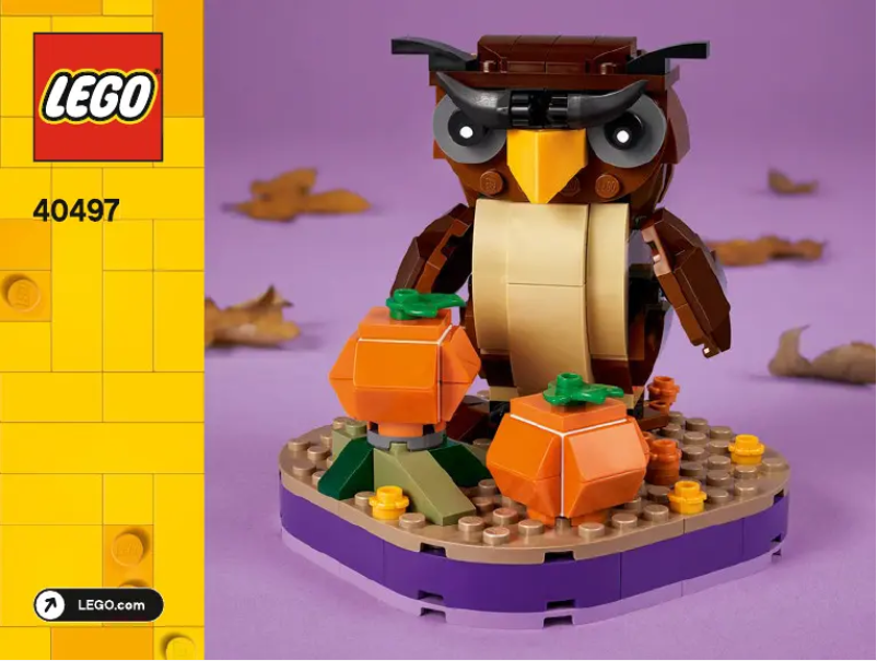 Page 1 de la notice Manuel utilisateur Lego Seasonal 40497