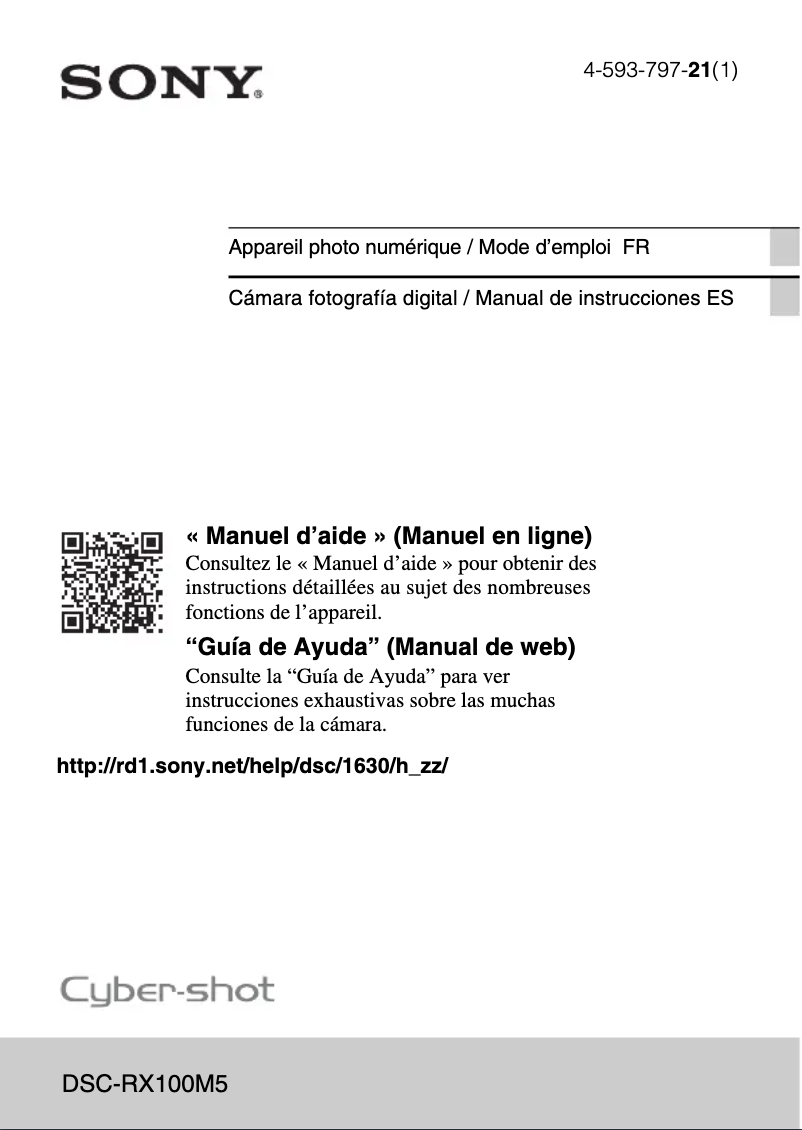 Image de la première page du manuel de l'appareil Cybershot DSC-RX100 V