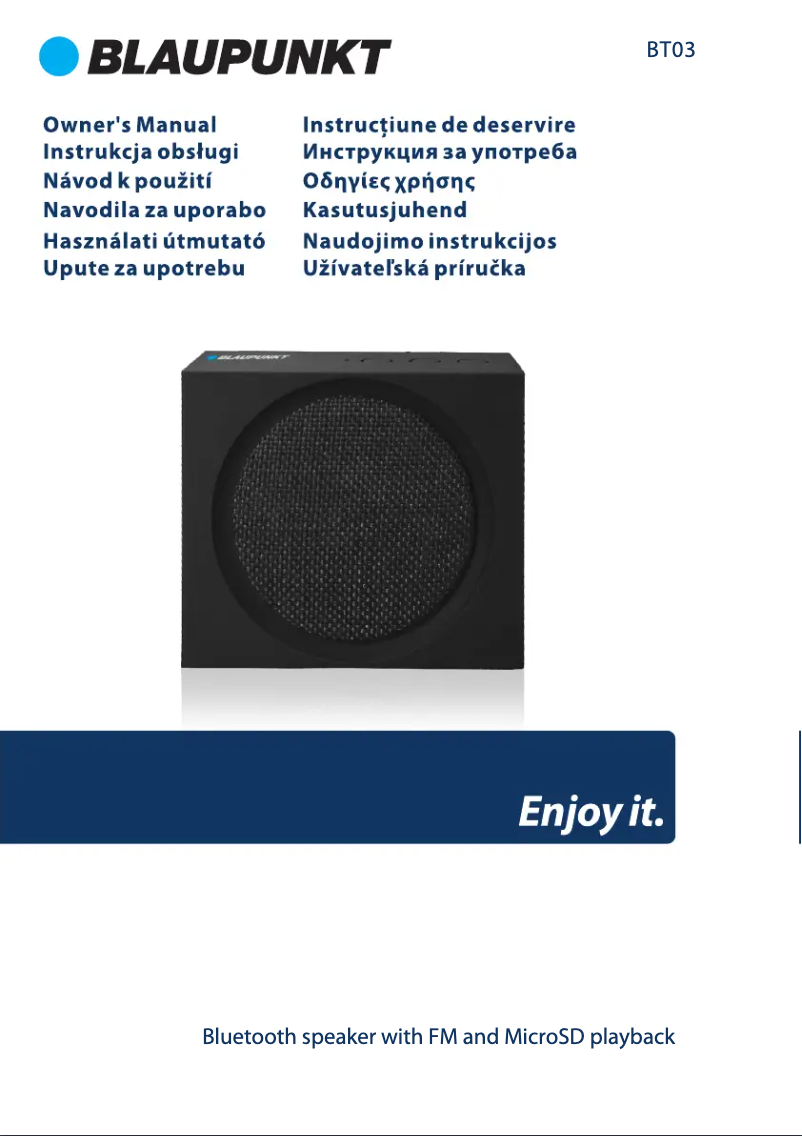 Page n°1 - Manuel utilisateur Blaupunkt BT03BL