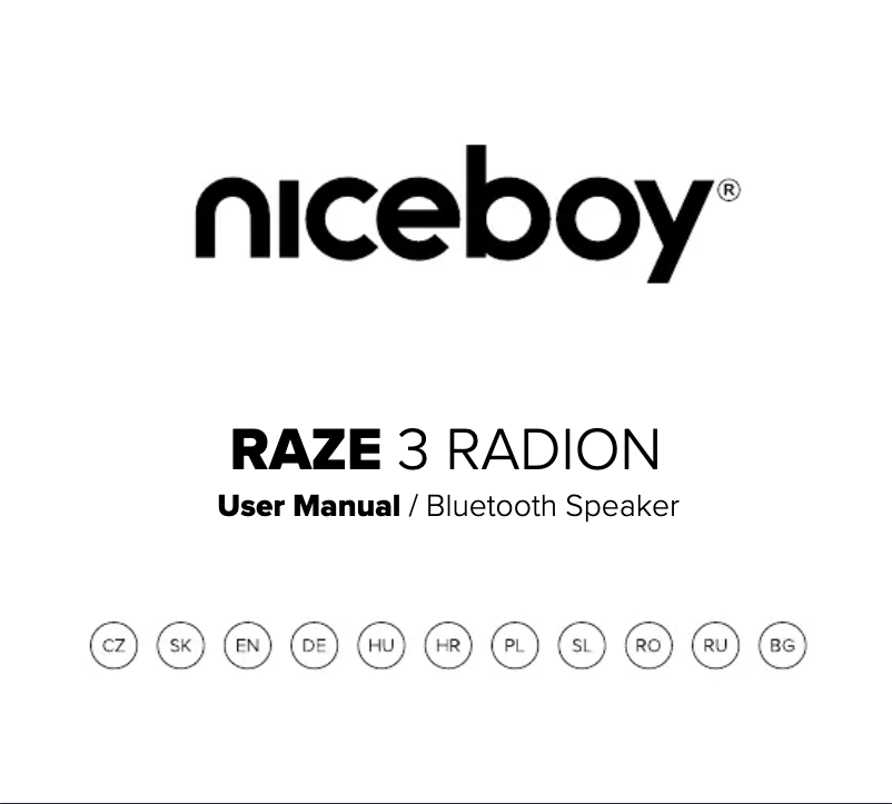 Page n°1 - Manuel utilisateur Niceboy RAZE 3 Radion