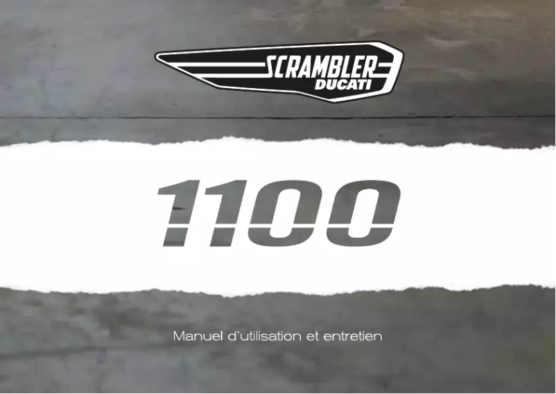 First page image of the manual for 1100 (2020)