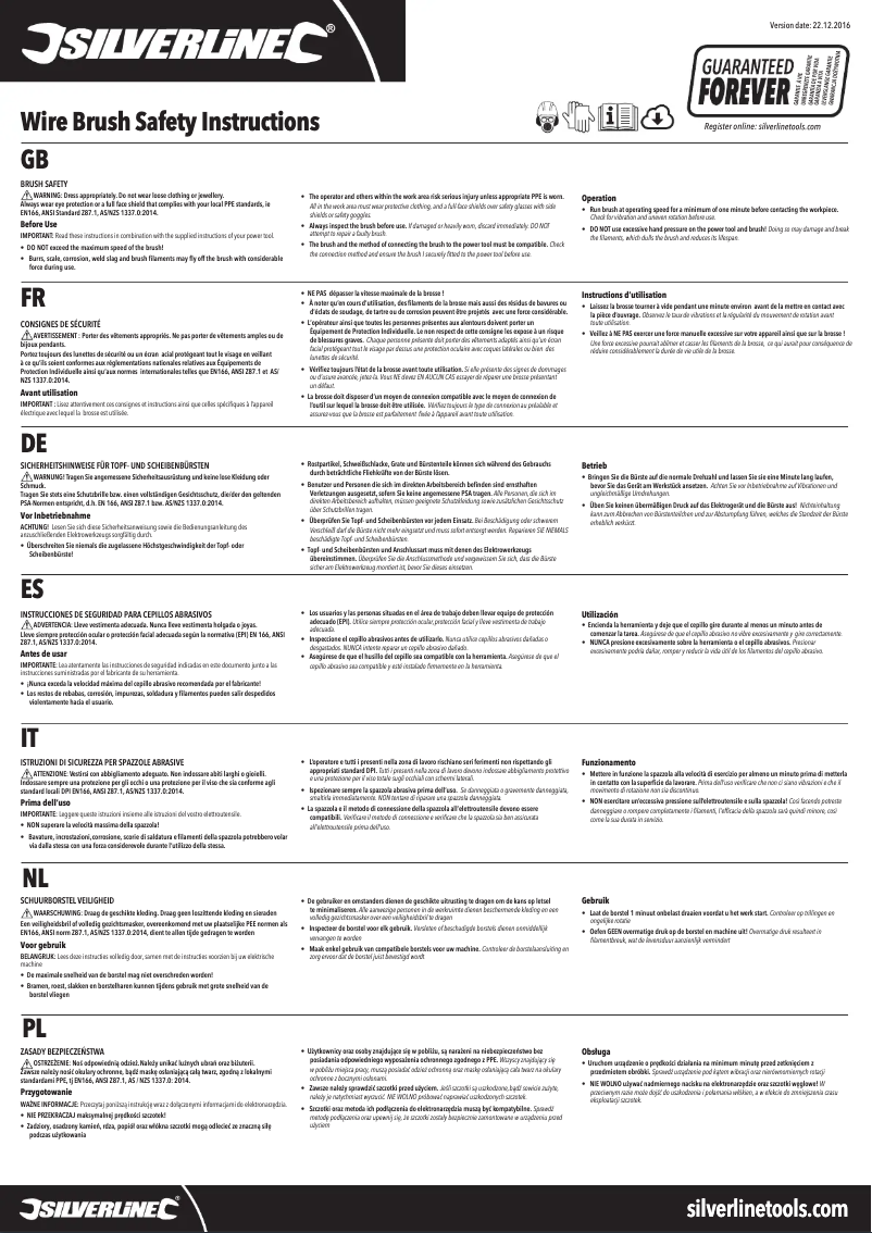 Page 1 de la notice Manuel utilisateur Silverline 589548