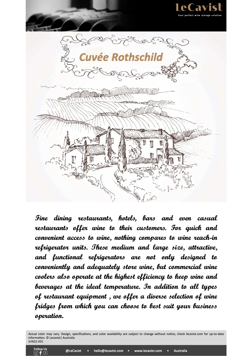 Page 1 de la notice Fiche technique LeCavist LCS300VN2Z1D