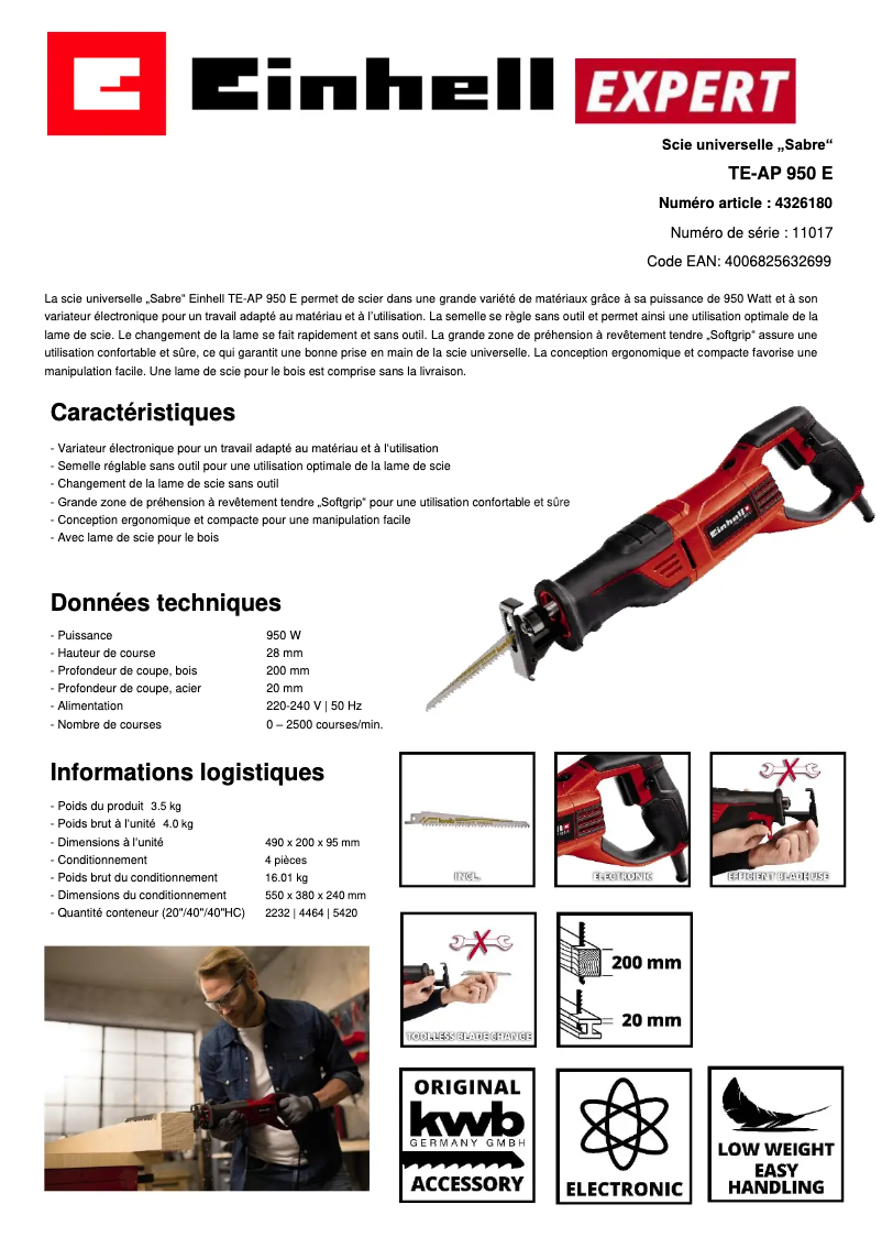 Page 1 de la notice Fiche technique Einhell TE-AP 950 E