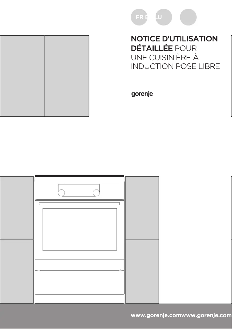 Page 1 de la notice Manuel utilisateur Gorenje EIT6356XPD