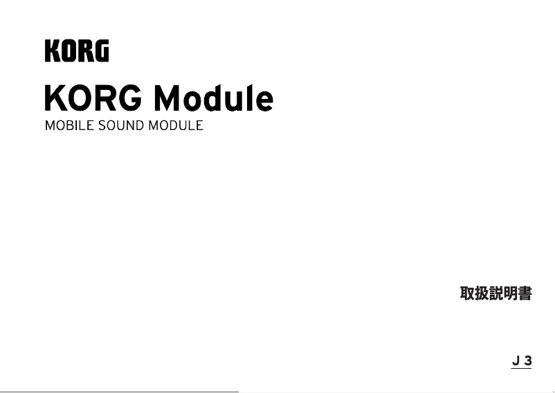 Page 1 de la notice Manuel utilisateur Korg Module