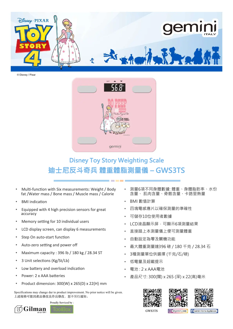 Page 1 de la notice Catalogue Gemini GWS3TS